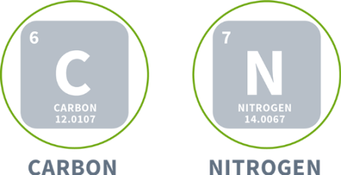 carbon and nitrogen symbols